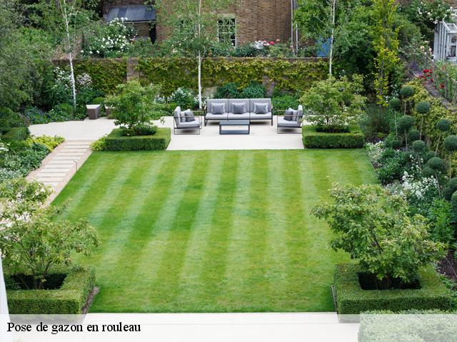 Pose de gazon en rouleau garrigues-sainte-eulalie-30190 MJ Elagage