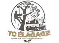 elagage-tc-elagage
